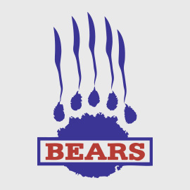 Förderverein der Berlin Bears e.V.